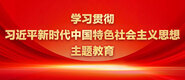 大鸡吧肏逼视频啊啊啊肏死我了学习贯彻习近平新时代中国特色社会主义思想主题教育_fororder_ad-371X160(2)